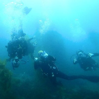 Three students scuba dive in the blue water in black wetsuits.